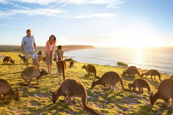 Kangaroo Island