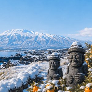 8 Days 6 Nights Korea Winter Experience 韩国冬季体验
